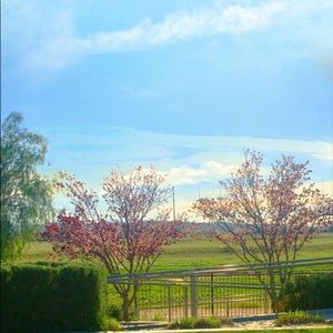 Meet your Posher, Roman